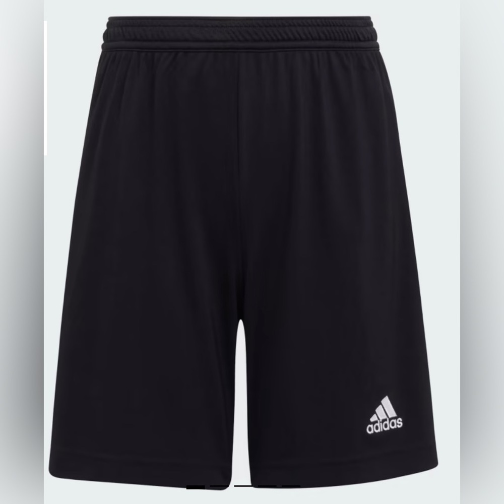 Adidas Entrada 22 Shorts